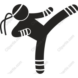 Dynamic Ninja Kick