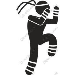 Ninja Action