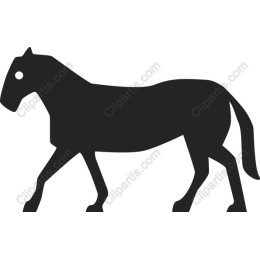 Elegant Horse