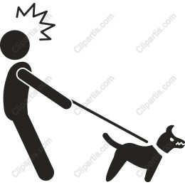 Playful Dog Walking