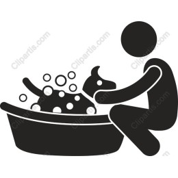 Pet Grooming: Person Bathing Dog