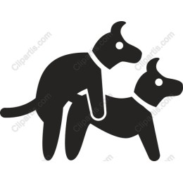 Playful Canine Companion