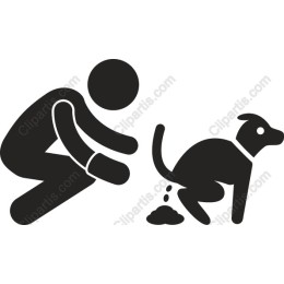 Playful Dog Owner
