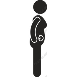 Elegant Pregnant Figure