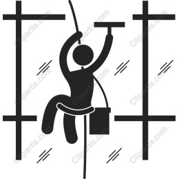 Professional Window Cleaner