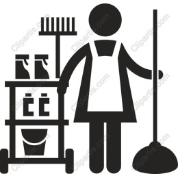 Professional Cleaner