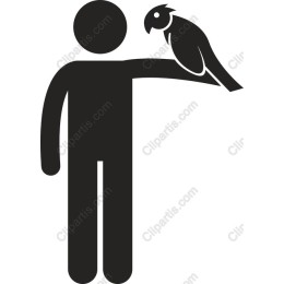 Person Holding a Parrot