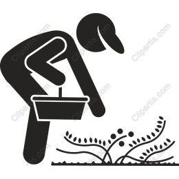 Dedicated Gardener