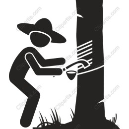 Lumberjack Tree Tapping