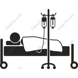 Hospital Bed