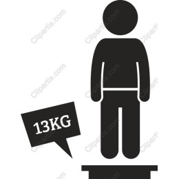 Minimalist 13 KG Weight Scale