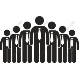 Professional Team