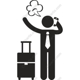 Professional Traveler