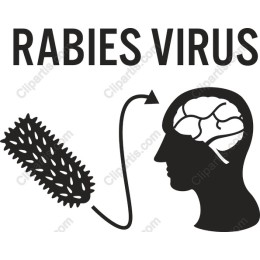 Rabies Virus