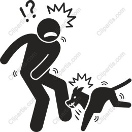 Playful Dog Behavior