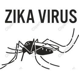 Zika Virus Awareness