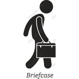Professional Briefcase