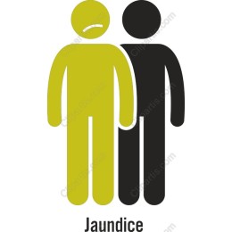 Jaundice