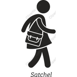 Stylish Satchel