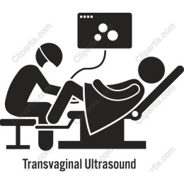 Transvaginal Ultrasound