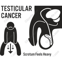 Testicular Cancer Awareness