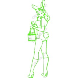 Playful Bunny