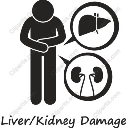 Liver and Kidney Damage Awareness