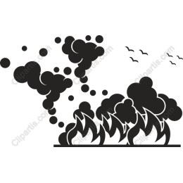 Dynamic Fire and Smoke