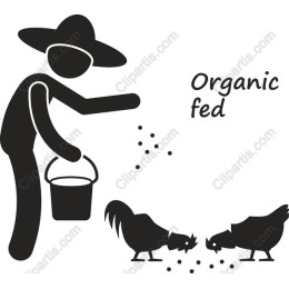 Organic Fed Farmer Feeding Chickens