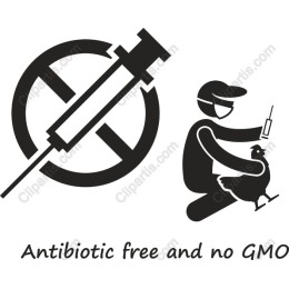 Antibiotic Free & Non-GMO Animal Care
