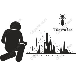 Termites
