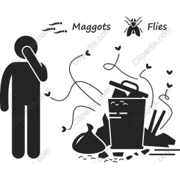 Waste Awareness: Flies and Maggots