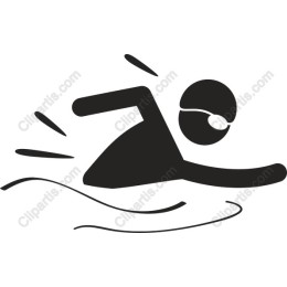 Dynamic Swimmer