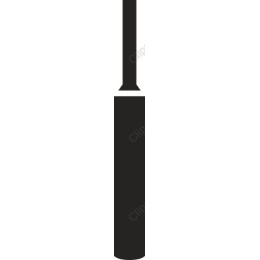 Elegant Black Dropper