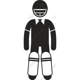 Professional Cricket Player