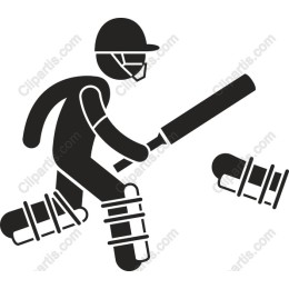 Dynamic Cricket Player