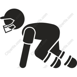 Dynamic Cricket Player