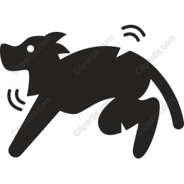 Playful Dog in Motion
