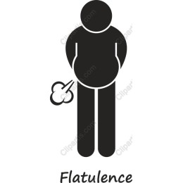 Flatulence Fun