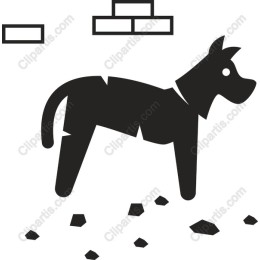 Playful Dog