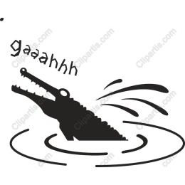 Crocodile Splash
