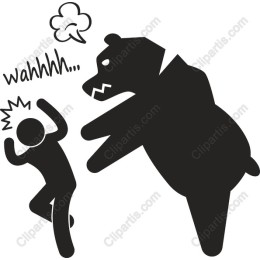 Bear Encounter