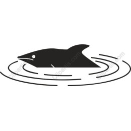 Dolphin - Aquatic Elegance
