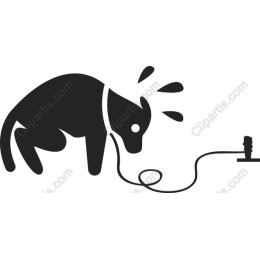 Playful Dog on Leash
