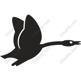 Elegant Flying Swan