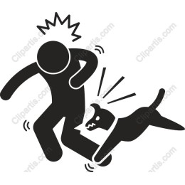 Playful Dog Chase