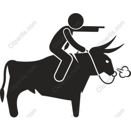 Playful Bull Rider