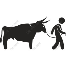 Person Walking a Bull
