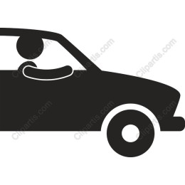 Stylish Driver in Car