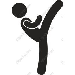 Martial Arts Kick